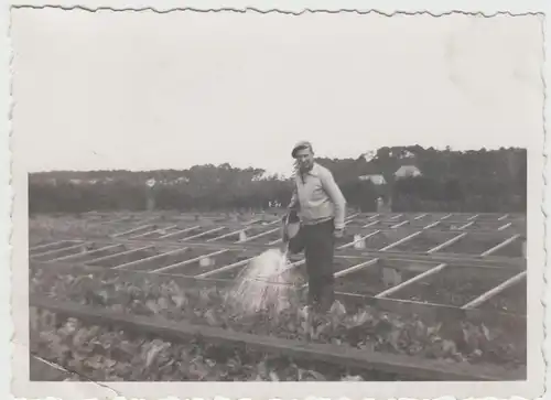 (F17544) Orig. Foto Mann gießt Beete 1940er