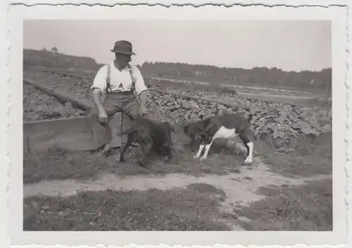 (F17495) Orig. Foto Hund u. Ziege käpfen, Mann am Beet, Gartenbaubetrieb 1930er