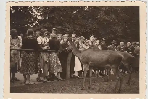 (F17471) Orig. Foto Personen im Wildpark Moritzburg 1938