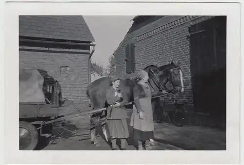 (F17470) Orig. Foto Frauen, Bäuerinnen am Pferdegespann 1930er