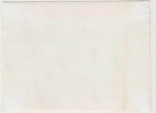 (F17465) Orig. Foto Gruppenbild in einer Gaststube 29.12.1937
