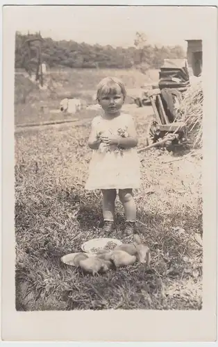 (F17448) Orig. Foto Mädchen Christel mit Küken in Kalkwitz 1932