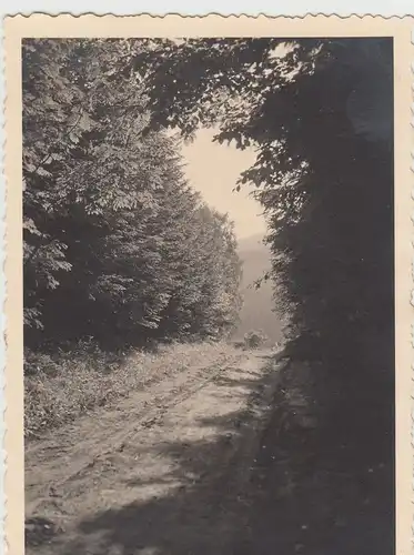 (F17444) Orig. Foto Landschaft, Weg zum Höllental, Piekielna Dolina 1930er