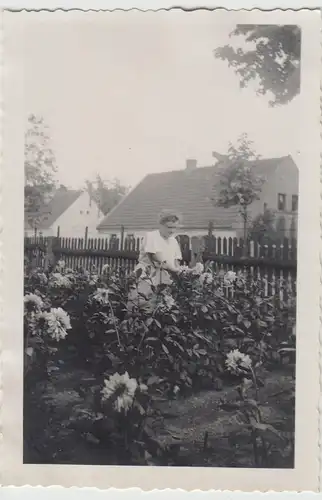 (F17441) Orig. Foto Frau im Garten am Dalienbeet 1930er