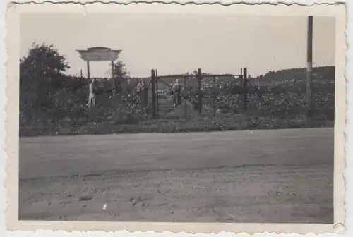 (F17397) Orig. Foto Gartenanlage >Gartenbauhöfchen Alfred Schatz< 1930er