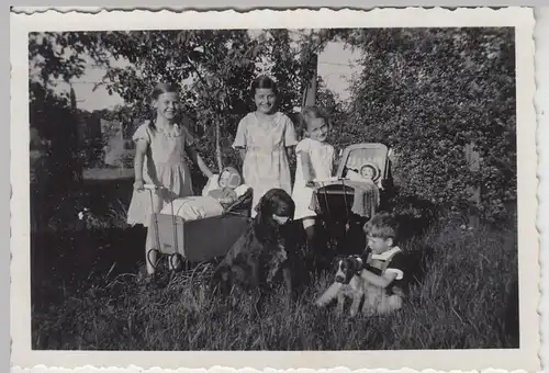 (F17378) Orig. Foto Mädchen mit Puppenwagen u. Hund im Garten 1933