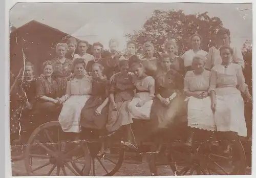 (F17135) Orig. Foto Wesermünde, Pferdefuhrwerk voller Frauen 1919/20