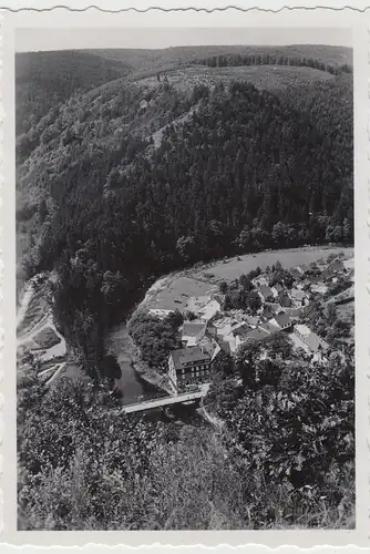 (F17112) Orig. Foto Blick auf Treseburg, Harz 1937