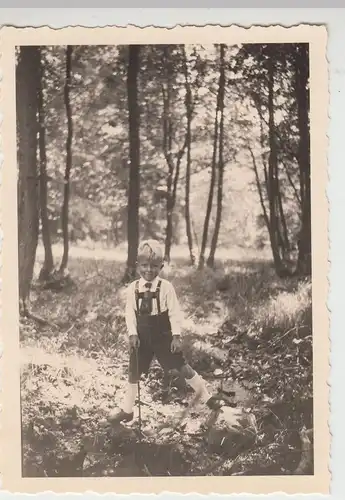 (F17111) Orig. Foto kleiner Junge mit Gehstock im Wald 1937