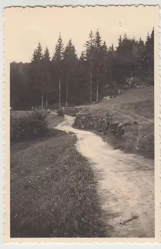 (F17070) Orig. Foto Podgórzyn, Hain, Waldweg 1934