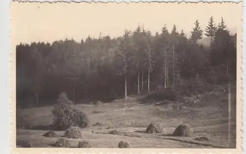 (F17049) Orig. Foto Podgórzyn, Hain, Hainwald 1934