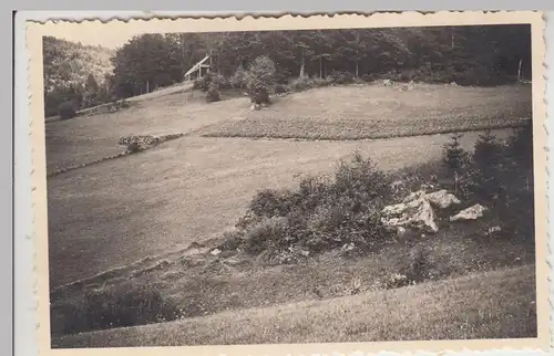 (F17047) Orig. Foto Podgórzyn, Hain, Weg n. Agnetendorf, Jagni?tków 1934