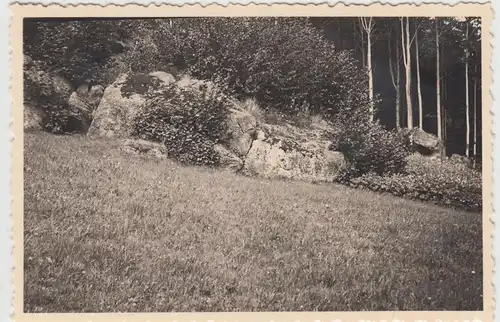 (F17042) Orig. Foto Podgórzyn, Hain, die Höhe 1934