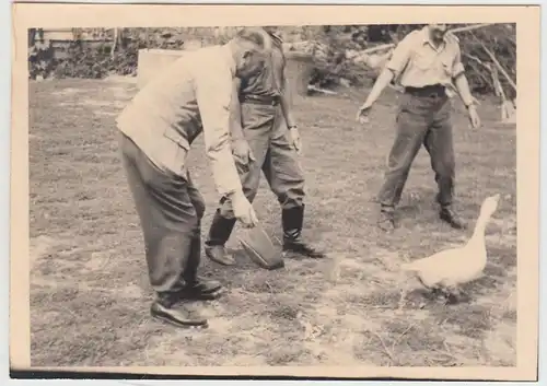 (F16984) Orig. Foto Pu?awy, deutsche Soldaten fangen eine Gans 1944