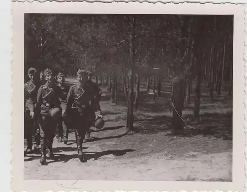 (F16920) Orig. Foto deutsche Soldaten Luftwaffe im Wald 1940er