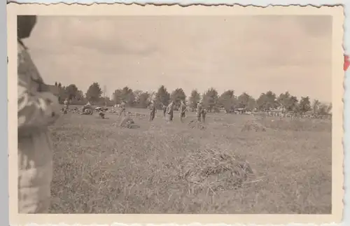 (F16912) Orig. Foto deutsche Soldaten auf dem Feld, Übung 1940er