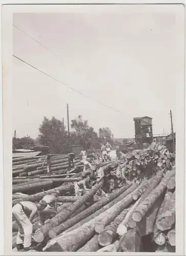 (F16739) Orig. Foto Männer auf einem Holzlagerplatz o. Güterbahnhof 1933-45