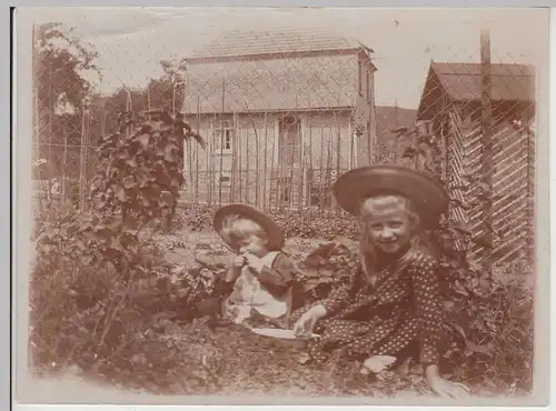 (F16625) Orig. Foto kleine Kinder sitzen im Garten, naschen Beeren 1920er