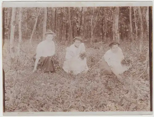 (F16621) Orig. Foto junge Damen in der Natur, pflücken Blumen 1920er