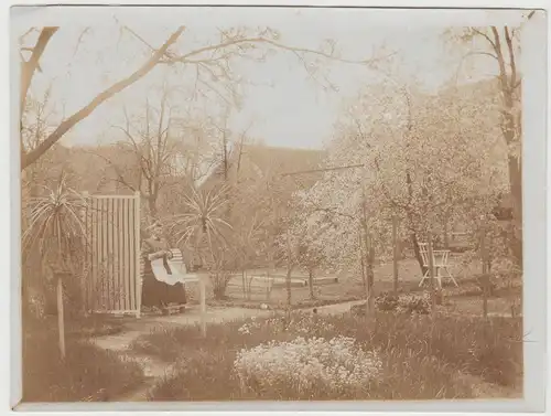 (F16608) Orig. Foto Frau im Garten, blühende Obstbäume 1920er