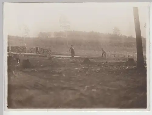 (F16569) Orig. Foto Waldarbeiter, Wald roden 1930er