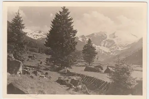 (F16499) Orig. Foto Landschaft Berge bei Tummersbach o. Thumersbach 1944