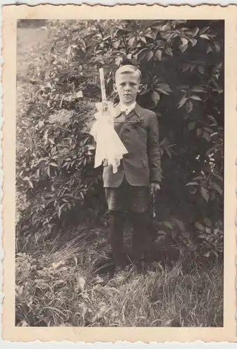 (F16396) Orig. Foto Personen am abgesägten Baum 1936