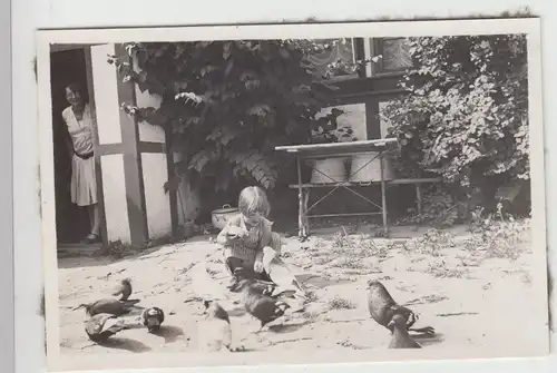 (F16265) Orig. Foto Bad Pyrmont, Kind Marianne füttert Tauben 1930