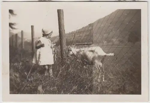 (F16248) Orig. Foto Bad Nassau, Kind Marianne mit Ziege am Zaun 1929