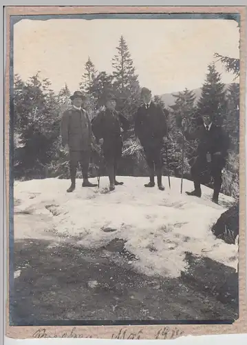 (F16165) Orig. Foto Personen, Wanderer mit Gehstöcken 1914