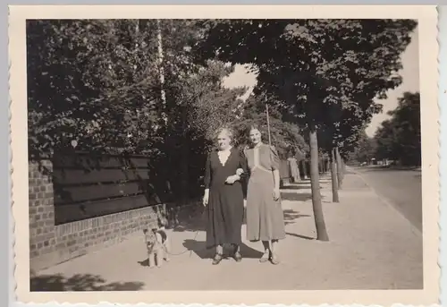 (F16101) Orig. Foto Frauen spazieren mit Hund 1938