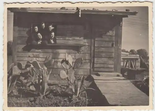 (F1601) Orig. Foto Wehrmacht-Soldaten schauen aus einer Hütte, 1940er