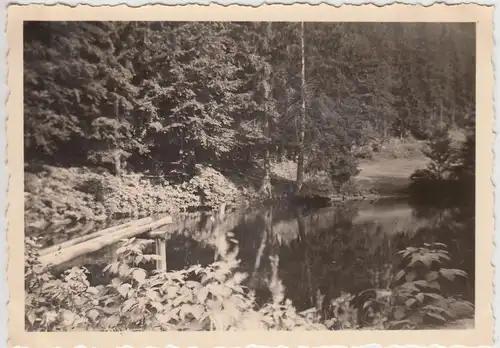 (F15994) Orig. Foto Manebach, Partie am Langenbach-Teich 1936