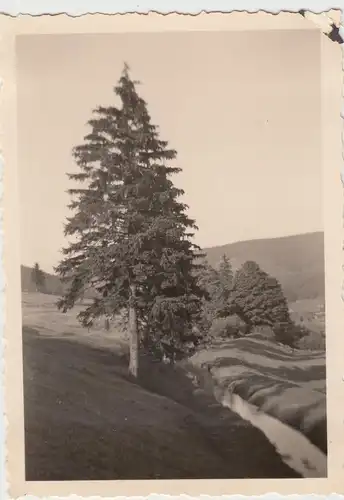 (F15992) Orig. Foto Partie in Moosbach bei Manebach 1936