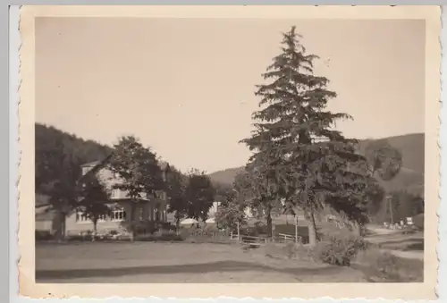 (F15990) Orig. Foto Moosbach bei Manebach 1936