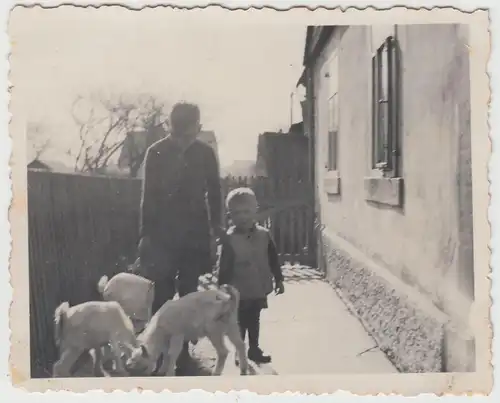 (F15813) Orig. Foto Kinder mit Ziegen hinter dem Haus 1930er