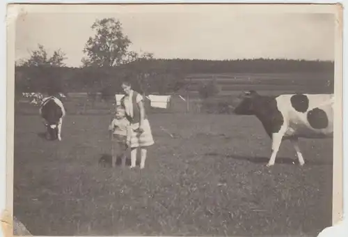 (F15810) Orig. Foto Frau u. kleiner Junge mit Kühen auf Weide 1930/40er