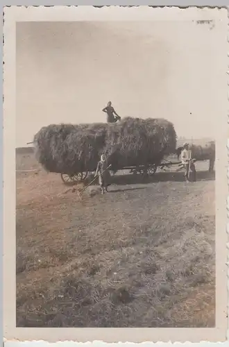 (F15754) Orig. Foto Heuernst, Heufuder 1940er