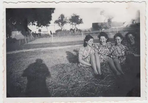 (F15704) Orig. Foto junge Damen nach der Heuernte bei Dresden 1943