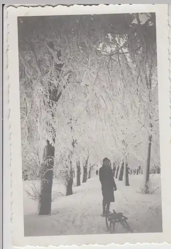 (F15684) Orig. Foto Schlittenfahrt in Winterallee, Butterberg (Sachsen?) 1941