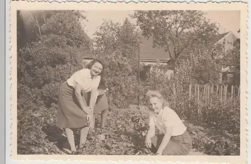 (F15625) Orig. Foto Mühlberg / Elbe, Damen vom RAD-Lager bei Gartenarbeit 1943