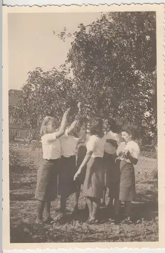 (F15616) Orig. Foto Mühlberg / Elbe, Damen vom RAD-Lager beim Kirschenessen 1943