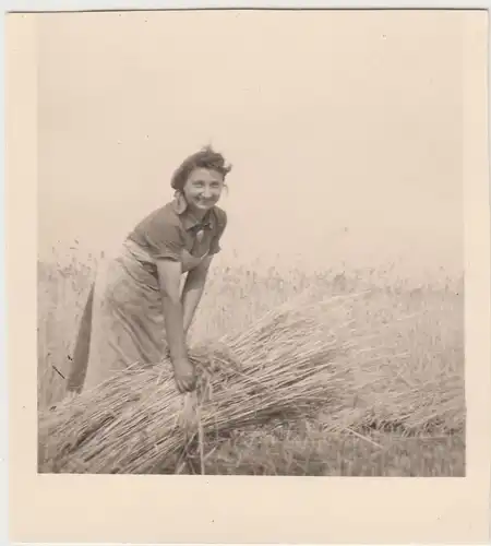 (F15612) Orig. Foto junge Frau Traudel bei der Roggenernte, Mühlberg / Elbe 1943