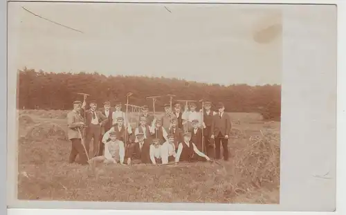 (F15535) Orig. Foto Personen mit Heurechen auf dem Felde 1920er