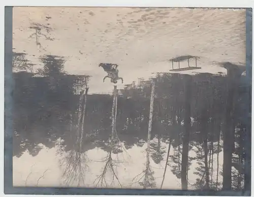 (F15470) Orig. Foto Eberswalde, Rodeln auf einer Waldschneise 1925