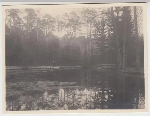 (F15464) Orig. Foto Eberswalde, Partie am Herthesee 1924