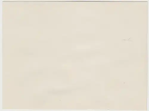 (F15443) Orig. Foto Personen auf Waldweg, Spaziergang 1920er