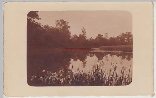 (F15320) Orig. Foto Landschaft, Bäume, Teich 1910er
