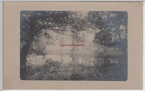 (F15309) Orig. Foto Landschaft, Wald mit See 1910er
