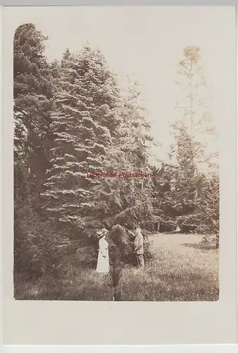 (F15279) Orig. Foto Personen spazieren, am Wald 1910er